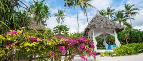 Une scène de plage avec un gazebo au toit de chaume, des palmiers et de magnifiques fleurs de bougainvillier aux couleurs vives.