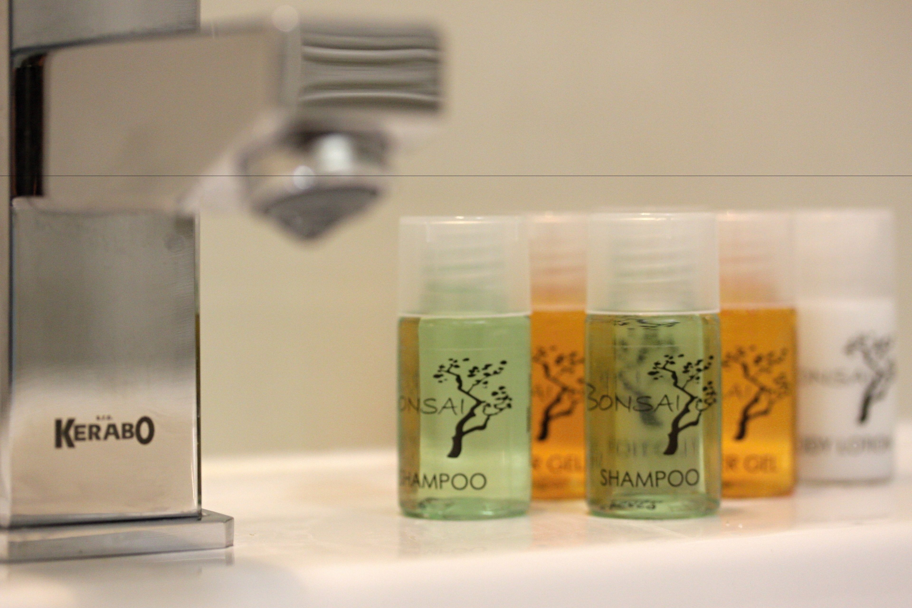 shower, rainfall showerhead, eco-friendly toiletries, hair dryer