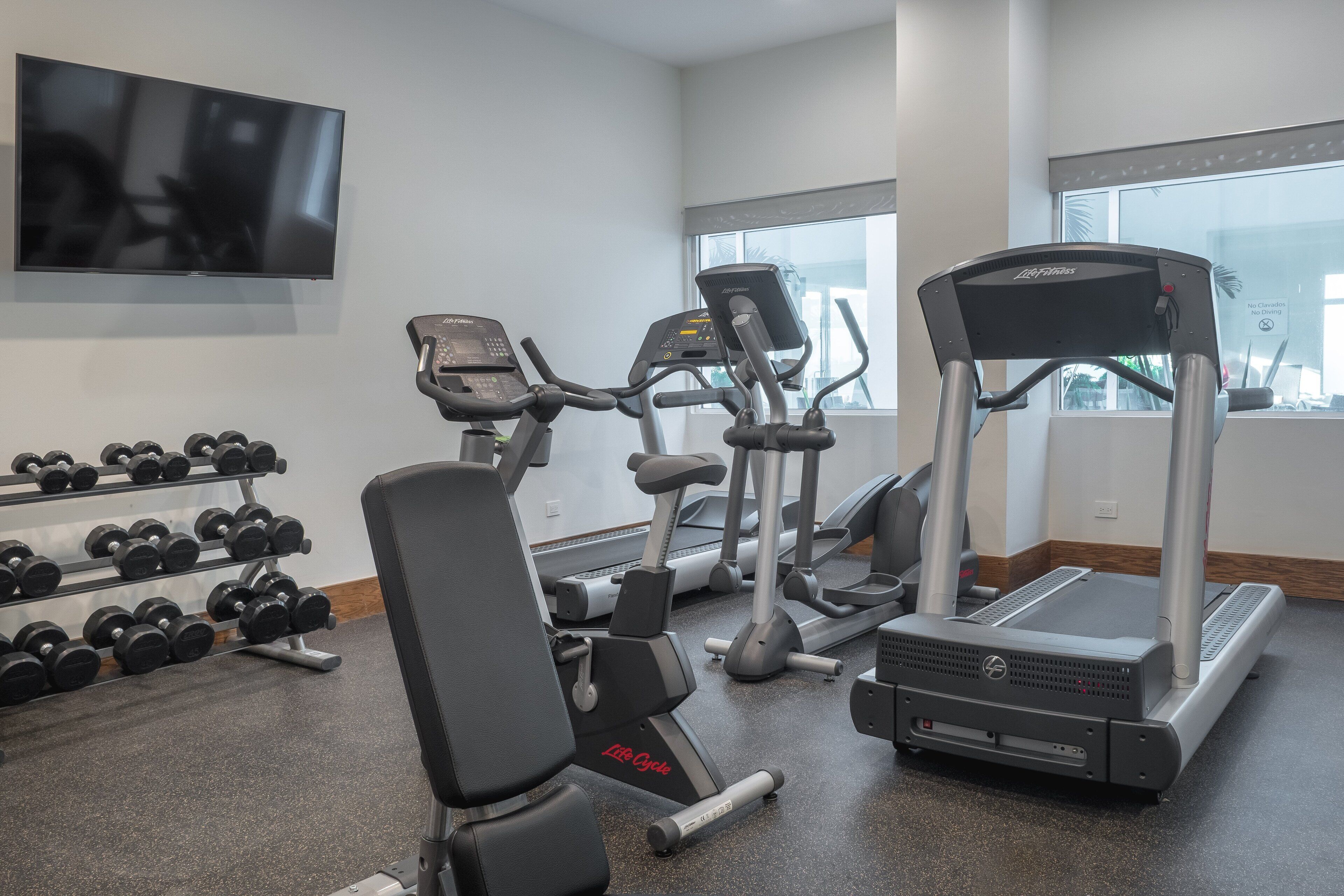 Un gimnasio con cintas de correr, elípticas y una banca. Se observa un estante con mancuernas y un televisor montado en la pared.