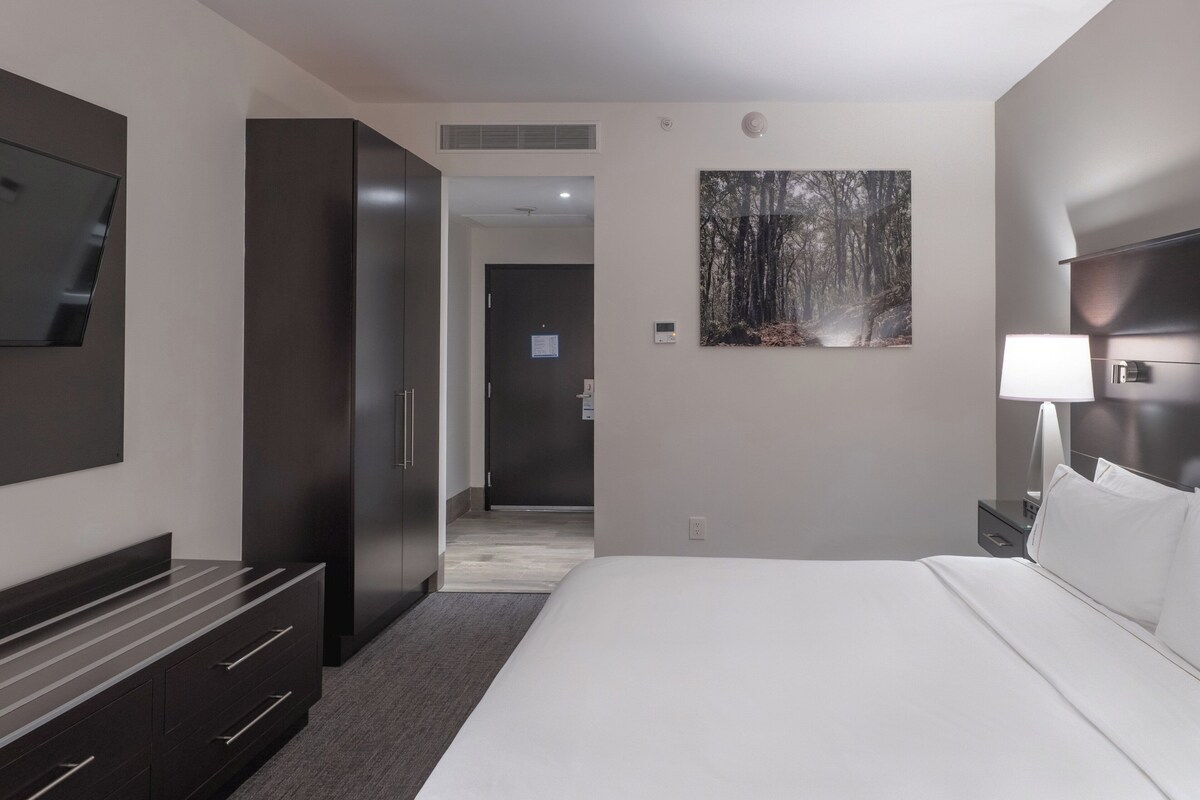Une chambre d’hôtel moderne avec un grand lit, un téléviseur à écran plat fixé au mur, une armoire en bois foncé et un tableau représentant une forêt accroché au mur.