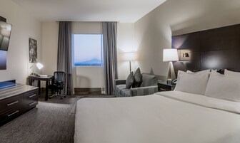 Sábanas de algodón egipcio, ropa de cama de alta calidad y cubrecamas 