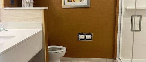 A modern bathroom with a toilet, a sink, and a shower.
