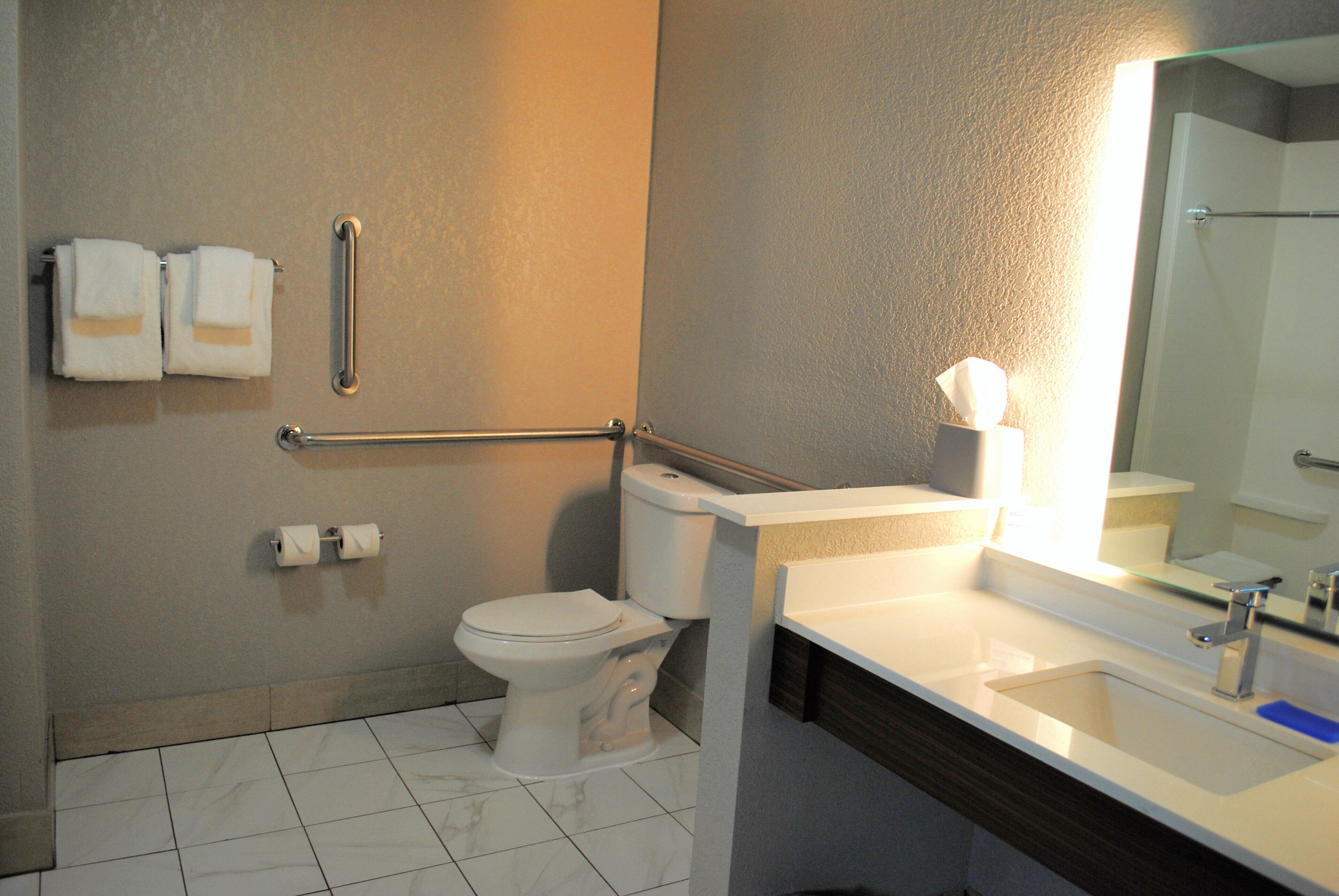 A bathroom with a toilet, a handrail, a sink, and a mirror.