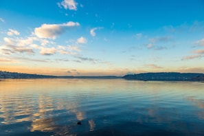 Overlooking a tranquil body of water with a cityscape in the distance.