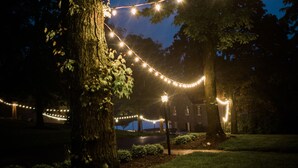 A tree with string lights, a grassy area, and a building in the background. - Allenberry Resort (Boiling Springs)