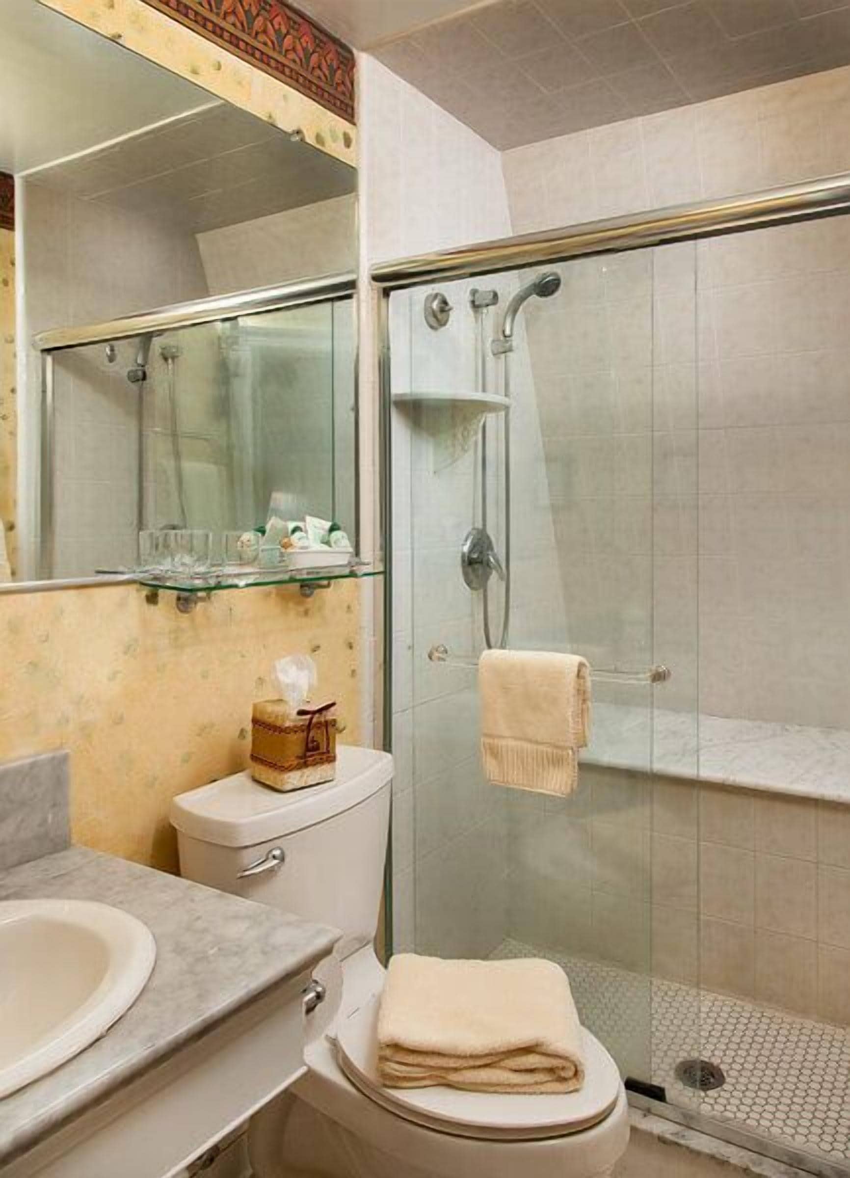 Een badkamer met een douche met glazen wand, een toilet, een wastafel en een spiegel.