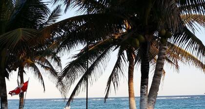 Playa Las Palmas Glamping Tulum
