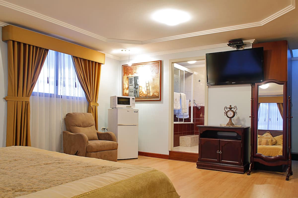 Une chambre d’hôtel comprenant un lit, un bureau avec un ordinateur, une télévision, une armoire et un miroir.