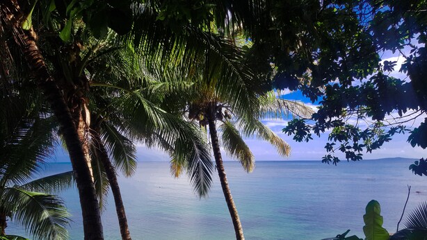 Vista de la playa con palmeras, un banco de madera y una barandilla con vista al mar.