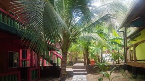 Un sendero estrecho bordeado de palmeras y edificios con fachadas rojas y amarillas.