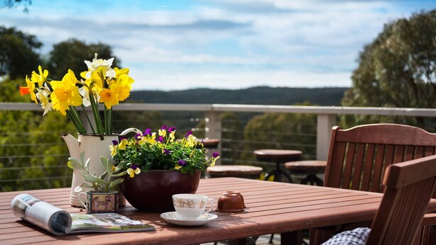 A wooden table with a white teapot, a cup, and a rolled-up magazine. There are potted plants with yellow and purple flowers. - Monigatti (Hepburn Springs)