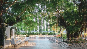Un espacio para eventos al aire libre con mesas y sillas dispuestas, rodeado de árboles y cubierto con toldos.