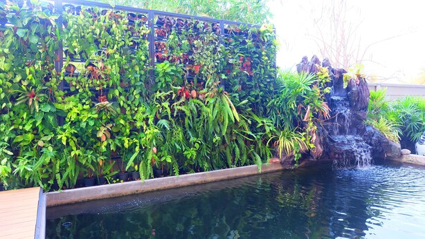 A garden with a water feature and a variety of plants. - The Pride (Sam Phran)