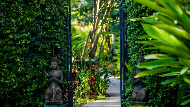 Un sendero bordeado por abundante vegetación y estatuas.
