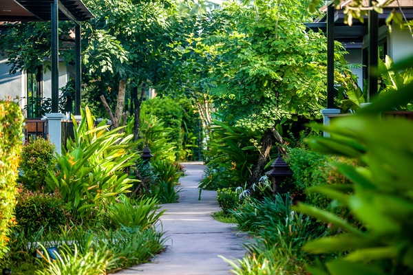Jardim