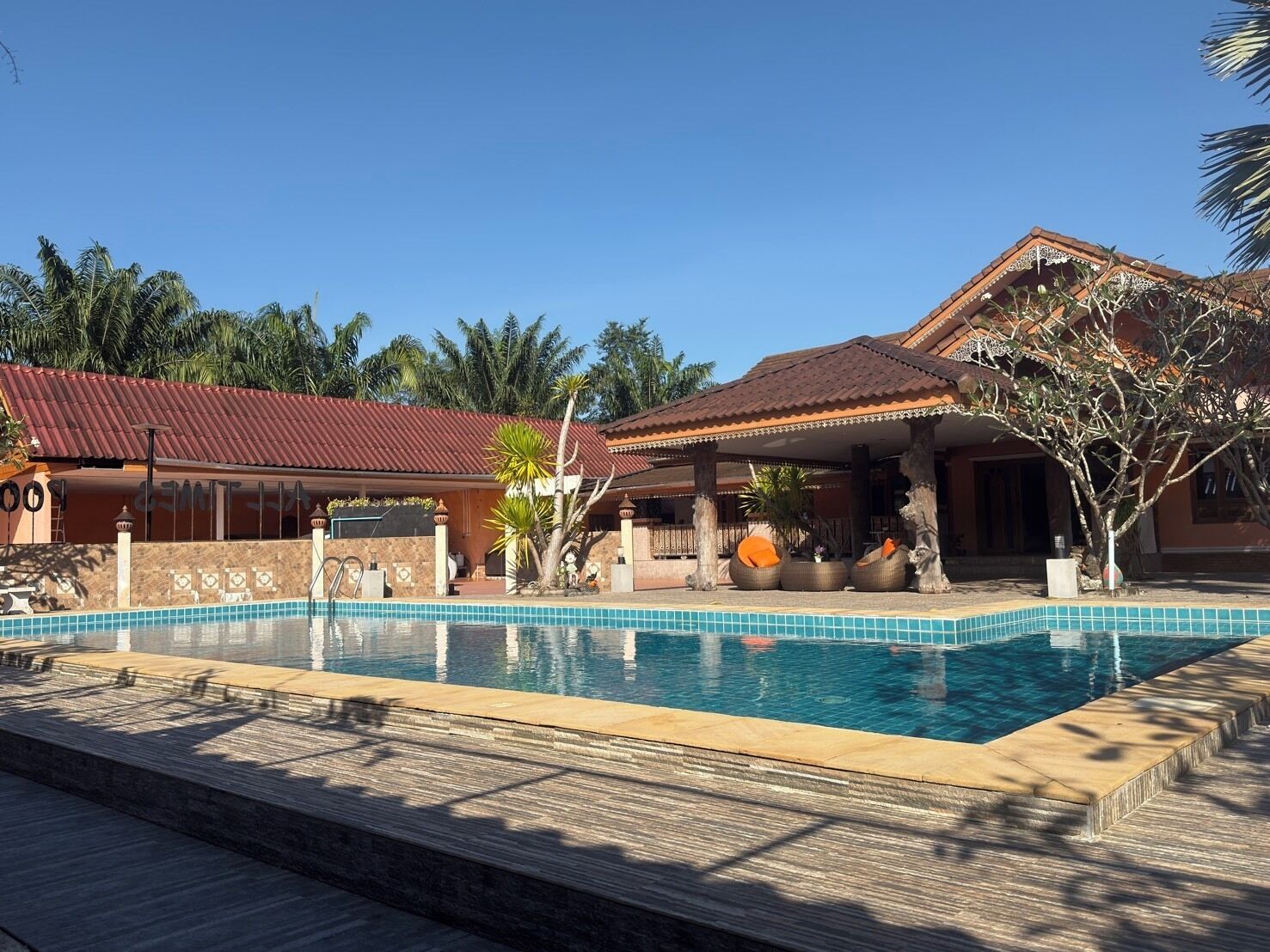 Télévision LCD de 32 pouces avec chaînes par câble, télévision