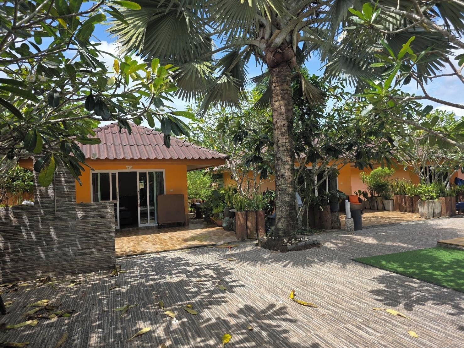 A courtyard with a palm tree, a small building with a tiled roof, and potted plants.