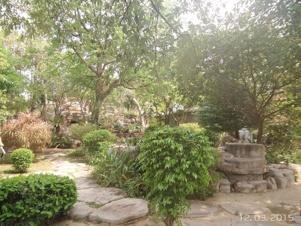 Un jardín con un sendero de piedra, diversas plantas y un pequeño elemento acuático.