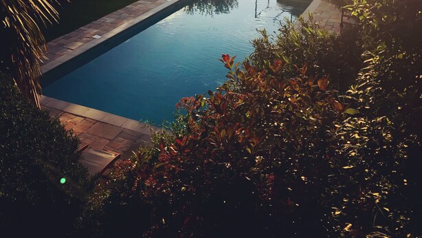 A rectangular swimming pool with a clear edge, surrounded by lush greenery and a view of a mountain range. - Residence Le Mouron Rouge (La Garde-Freinet)