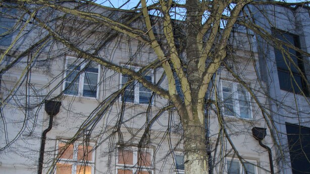 Un edificio con un amplio acceso de puertas dobles, un árbol frente a él y varias ventanas.