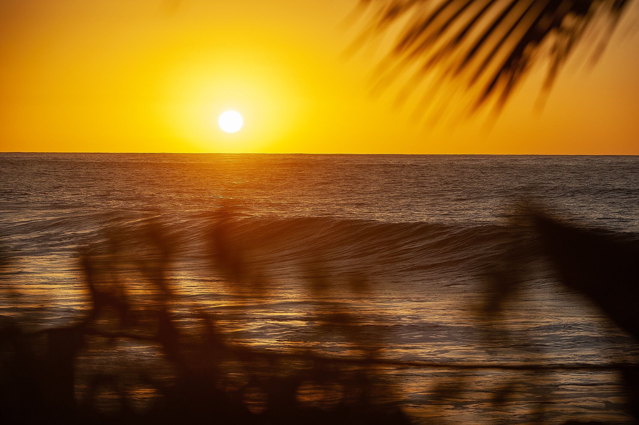 on the beach, white sand, beach bar, surfing