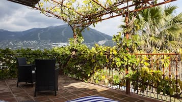Junior Suite, 1 King Bed, Terrace, Mountain View | View from room