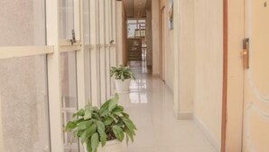 A clean, well-lit hallway with a potted plant and a door on the right. - Stay Easy (Addis Ababa)