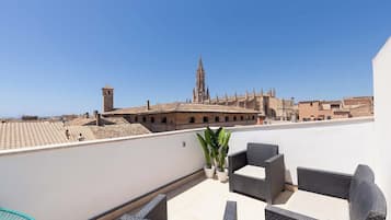 Apartment (Penthouse) | Terrace/patio
