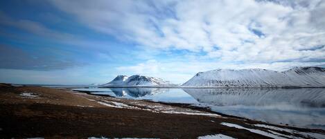 A tranquil landscape with a clear sky, snow-covered mountains, and a calm body of water reflecting the scenery.