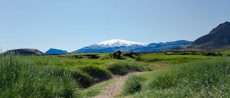 A clear path leading to a snow-capped mountain.