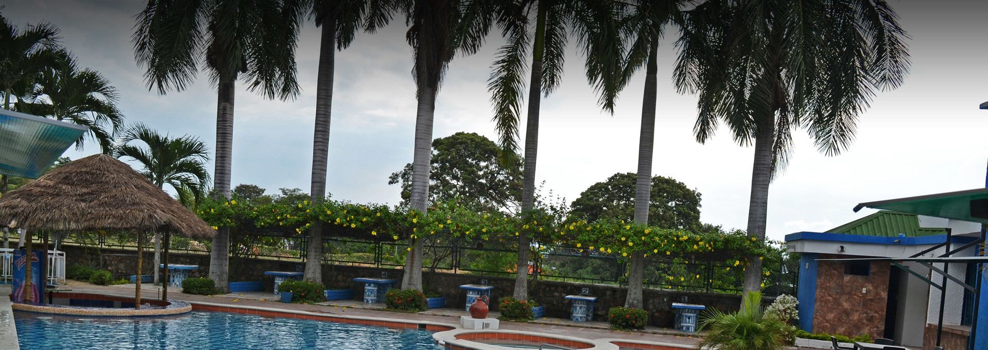 Alberca al aire libre 
