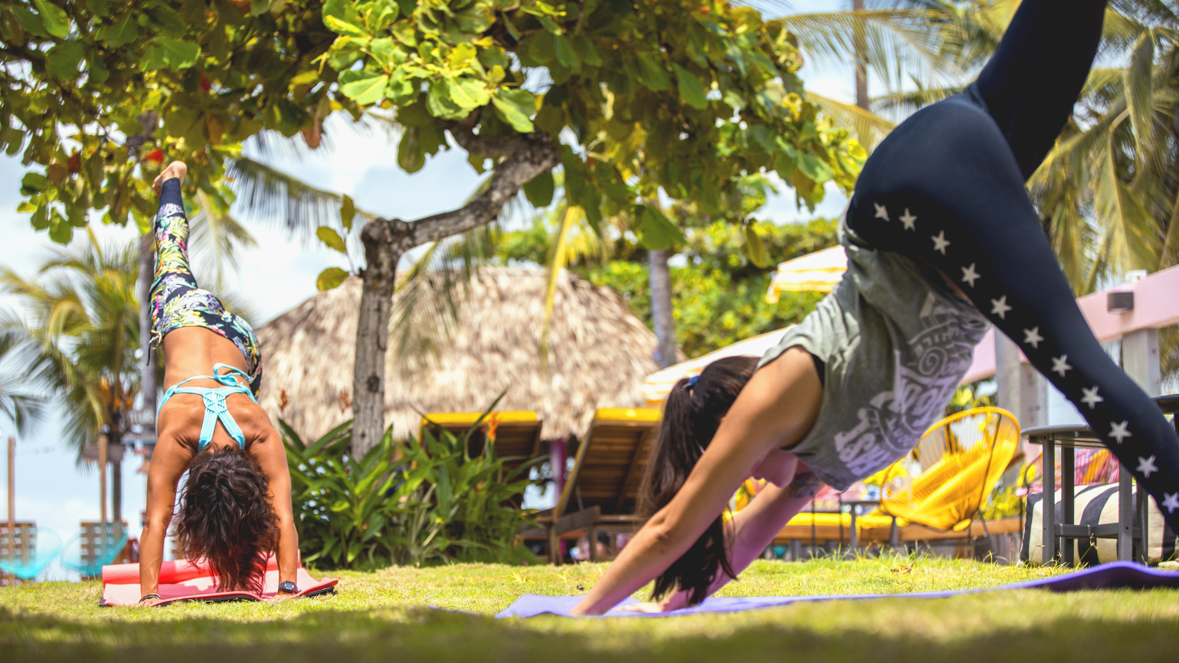 Foto - Socialtel Jaco