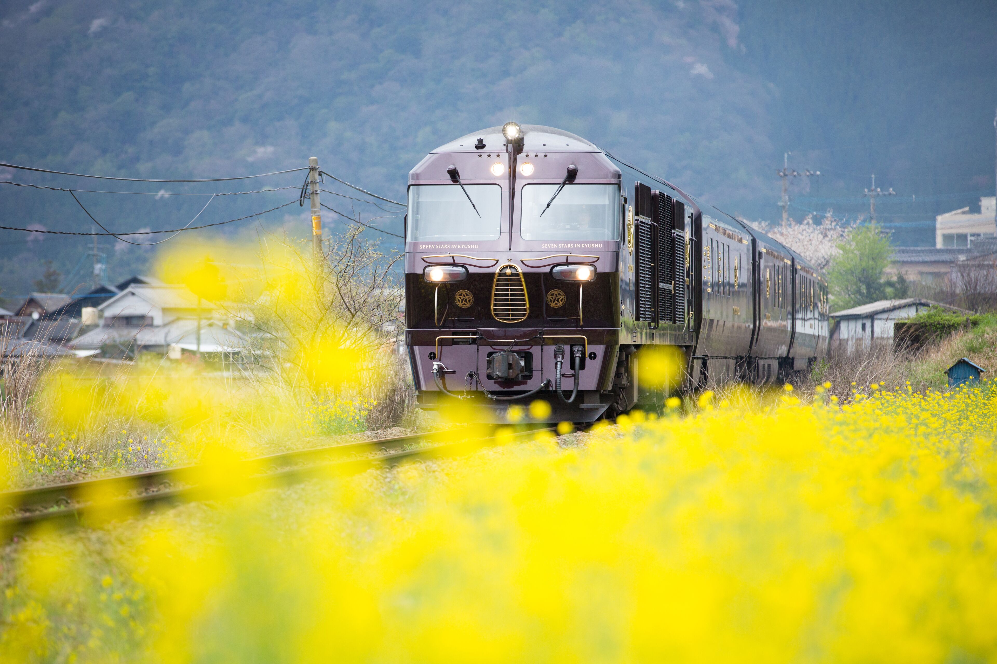住宿景觀
