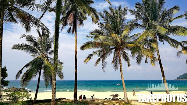 A beach with palm trees, a sandy shore, and the ocean in the background. - Tamara Resort (Tioman Island)