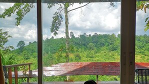 Vista desde una habitación con ventana que da a un paisaje verde exuberante, un banco de madera y una silla.
