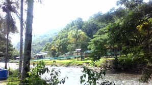 Un río rodeado de vegetación y un edificio al fondo.