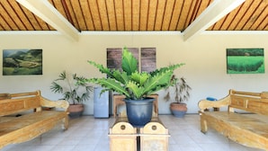 Una habitación con un banco de madera, una jardinera central con hojas verdes grandes y dos paneles de madera fijos a la pared.