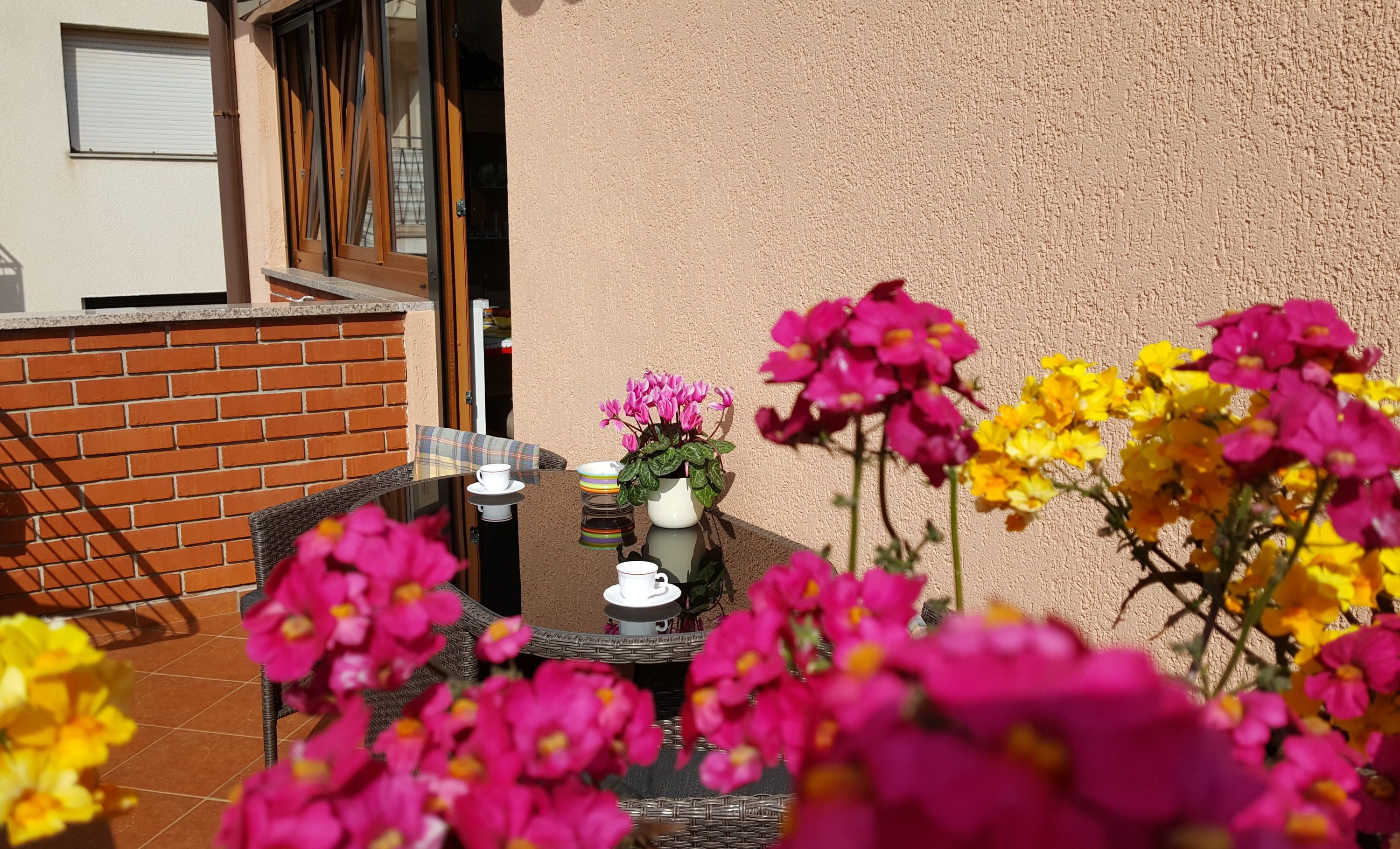 Foto - Apartments Palma