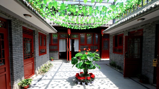 Un patio con puertas rojas, una planta en el centro y suelo de baldosas.