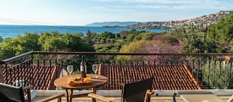 Hotel Delfinia
