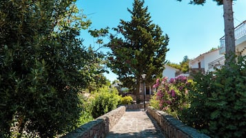Vista al jardín
