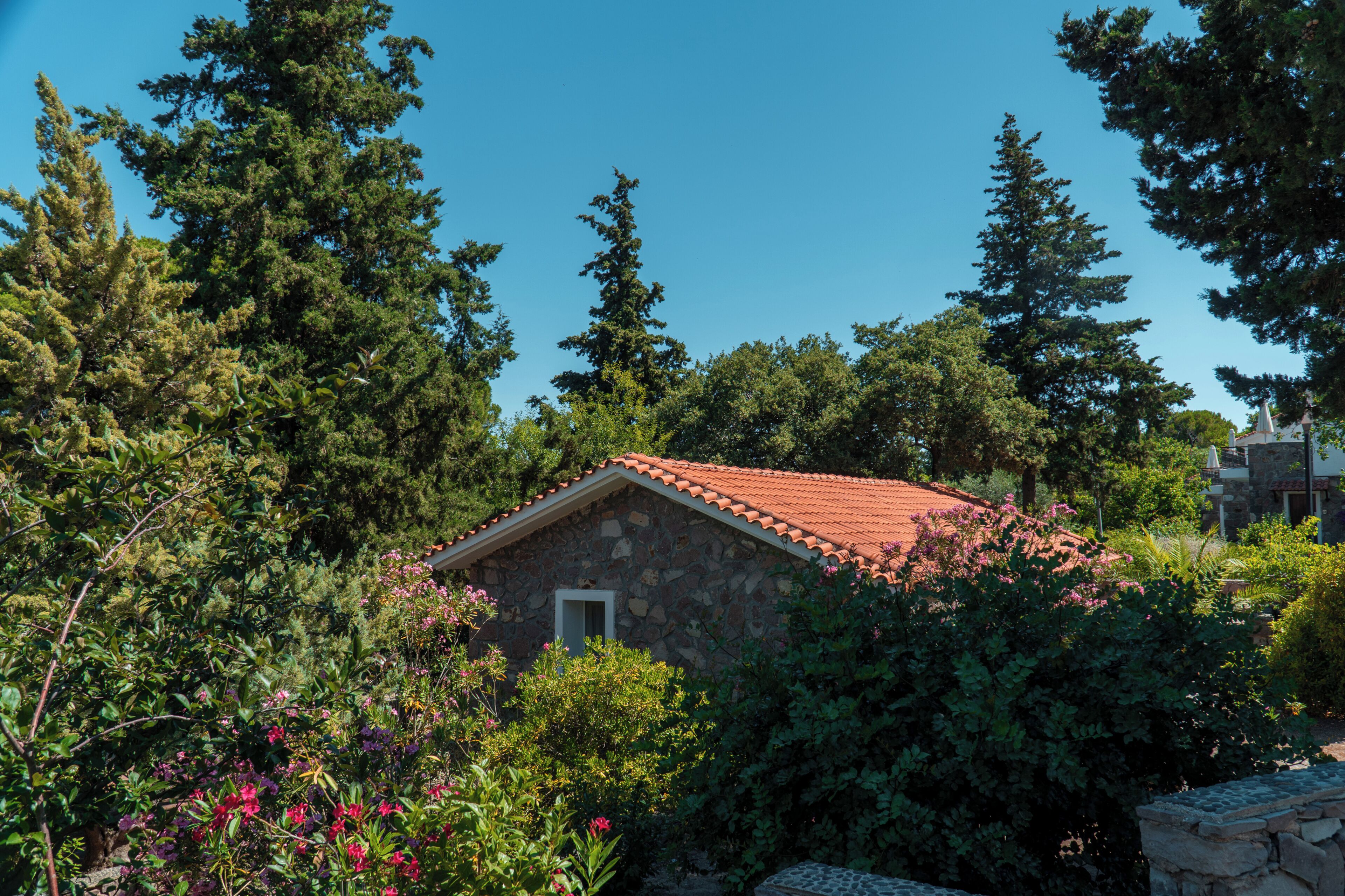 Jardin