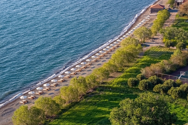 On the beach, black sand, sun loungers, beach umbrellas