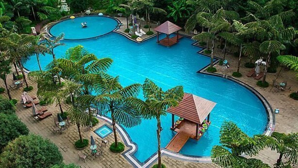 A large swimming pool with a unique heart-shaped design, surrounded by palm trees and lounge chairs. - Eyring Daqian International Hotel (Neijiang City)