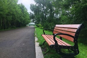 A park bench on a paved path with trees on both sides. - Longyuan Northern Base (Yichun)