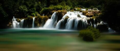 Una cascada se precipita sobre un terreno rocoso rodeado de densa vegetación.