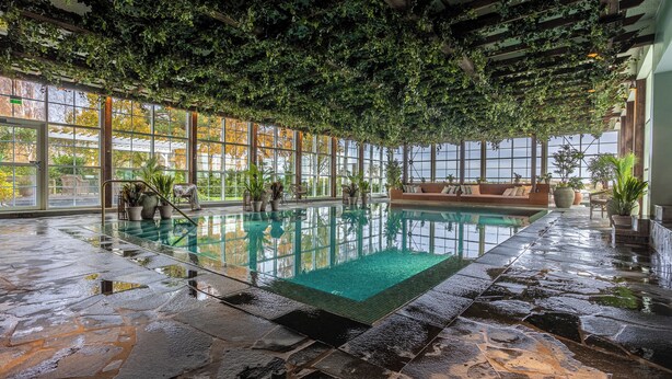 Une piscine intérieure dotée d’un sol en pierre, de grandes fenêtres et de plantes grimpantes au plafond.
