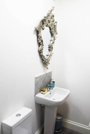 A bathroom with a white sink, a toilet, and a decorative mirror with an ornate frame. - Mrs Salisbury's Serviced Accommodation (Maldon)