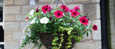 A hanging basket of flowers with red, white, and purple blooms, suspended from a chain against a stone wall.