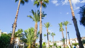 A row of tall palm trees in a well-maintained garden area with a clear blue sky. - Apartamentos Mar Menor (San Javier)